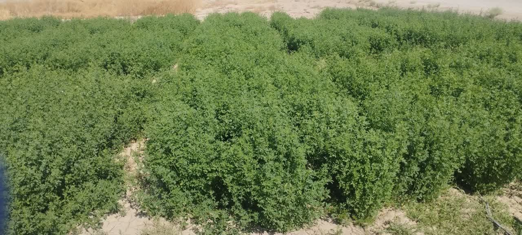 1405053103 (1) 